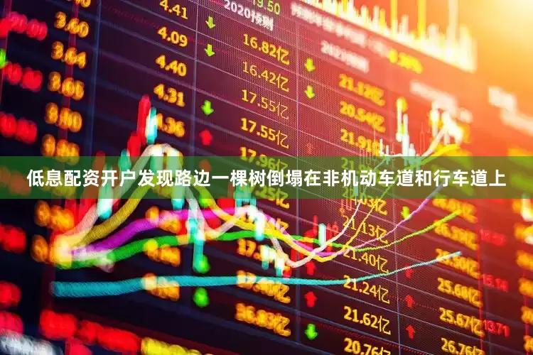 低息配资开户发现路边一棵树倒塌在非机动车道和行车道上